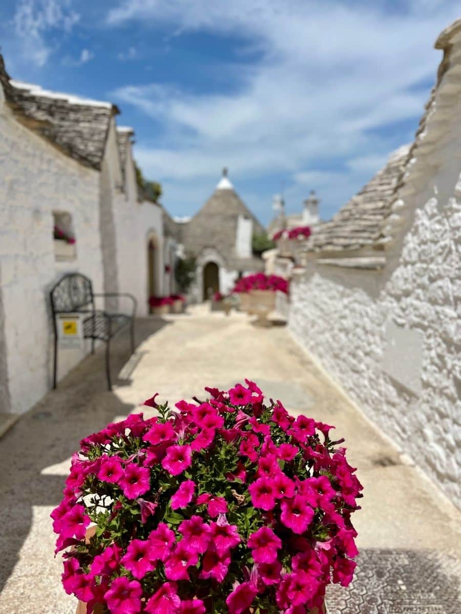 A vibrant bouquet of pink petunias sits in the foreground of a sunlit alley in Alberobello, Italy. The background showcases traditional white stone trulli houses with conical roofs, adorned with red flowers and rustic details. A black metal bench rests against one of the walls. The sky is bright blue with wispy clouds, adding to the charming and picturesque scene.