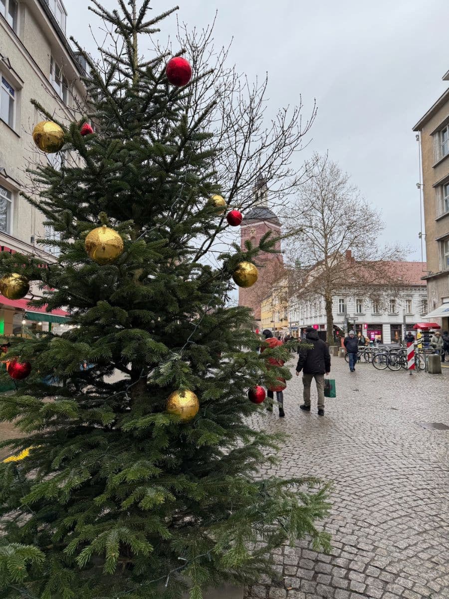 A festive Christmas tree adorned with red and gold baubles stands in the cobblestone streets of Spandau, Berlin, with people strolling in the background and historic architecture in view.