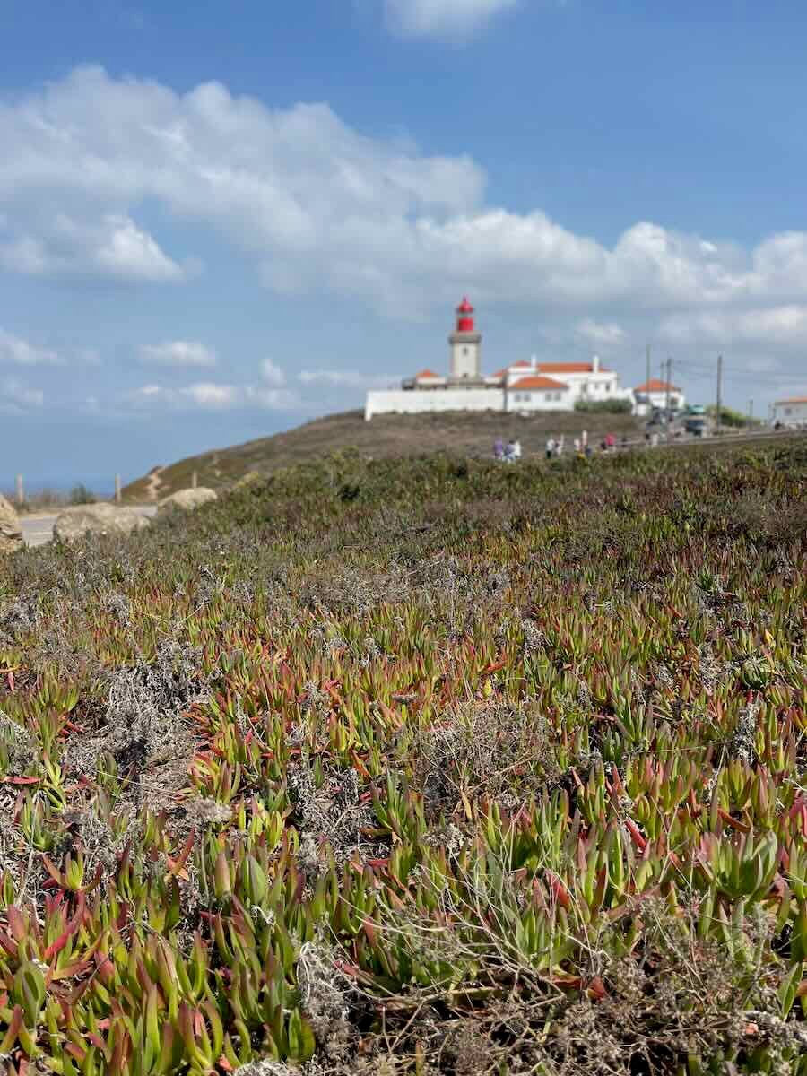 A scenic view of Cabo da Roca lighthouse, situated on a hill in the distance. In the foreground, there’s a wide expanse of green and reddish succulents, with a clear sky filled with soft clouds above.