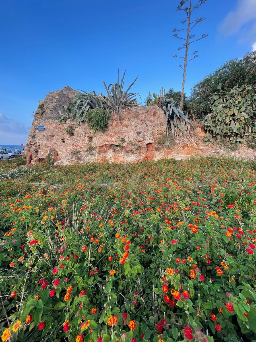 A vibrant flower bed with a mix of red, yellow, and orange blossoms in front of an old stone wall and succulents, showing Crete's natural beauty and floral diversity.