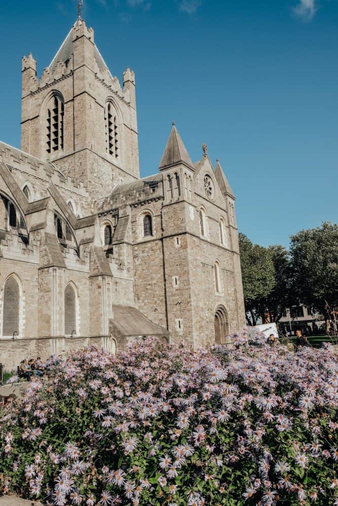A historic stone church in Dublin, framed by a burst of purple flowers in the foreground, under a clear blue sky.