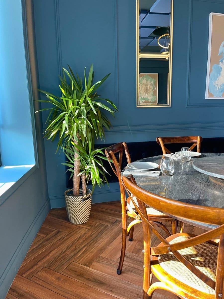 A cozy dining corner bathed in natural sunlight, featuring deep blue paneled walls that create a sophisticated and inviting ambiance. A large potted plant with vibrant green leaves adds a touch of nature to the space. The dining table, with a polished stone surface, is set with glassware and plates, accompanied by elegant wooden chairs with woven seats. A gold-framed mirror reflects the room’s stylish decor, enhancing the sense of space. The warm wooden flooring laid in a herringbone pattern complements the overall aesthetic, making the setting both modern and timeless.
