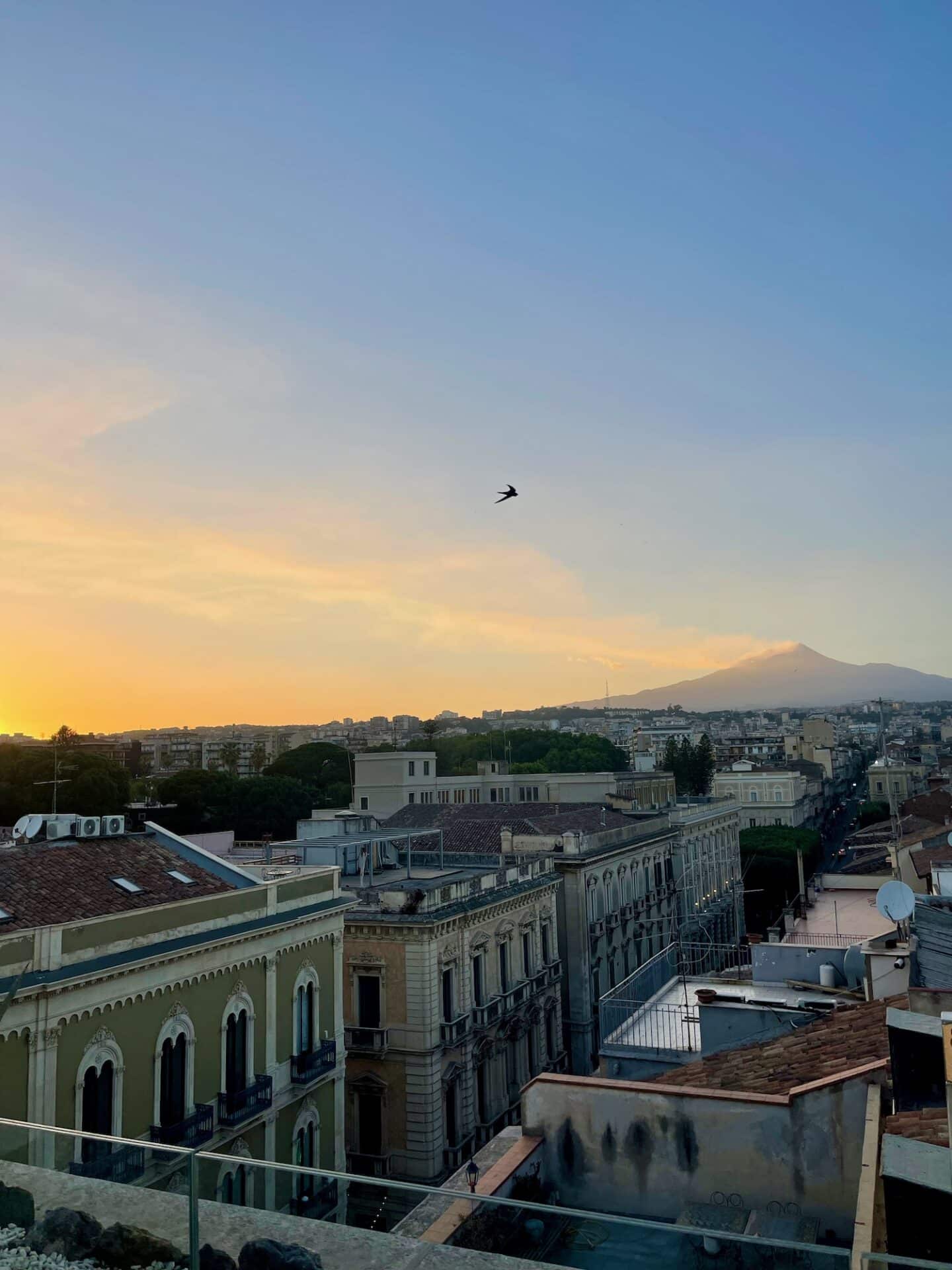 Rooftop view of Catania at sunset with a bird in the sky and Mount Etna in the distance.
