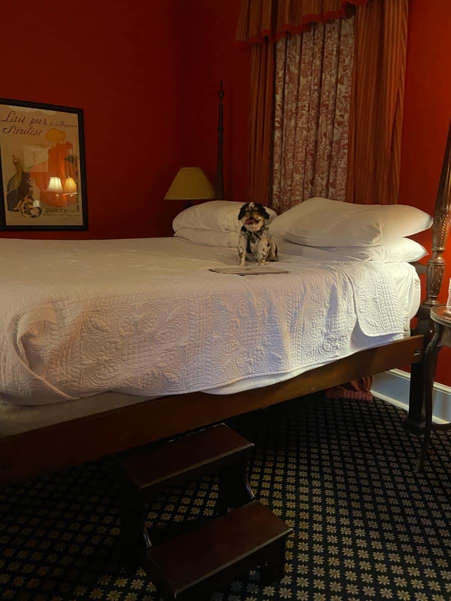 Foley House Inn bedroom