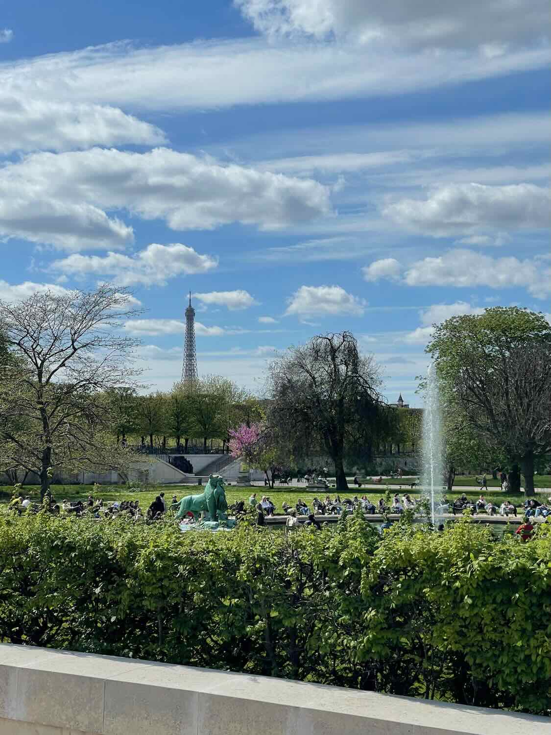 Spring view of the Eiffel Tower from a blossoming park in Paris, France.