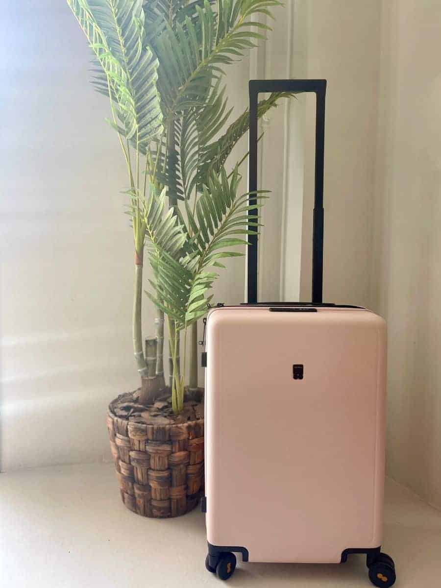 Level 8 luggage in Pink