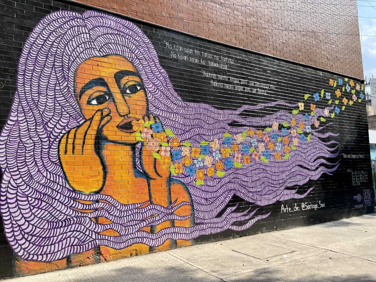 Best Mexico City Travel Guide shows picture of street art in Roma Norte 