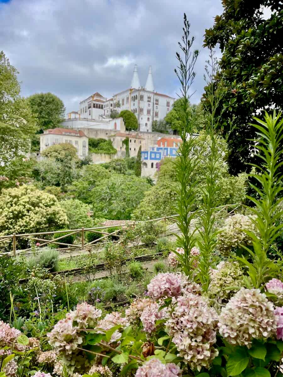 A vibrant view of the National Palace of Sintra, framed by lush gardens with blooming pink flowers and greenery. The palace's iconic twin chimneys rise in the background, with colorful houses dotting the hillside.
