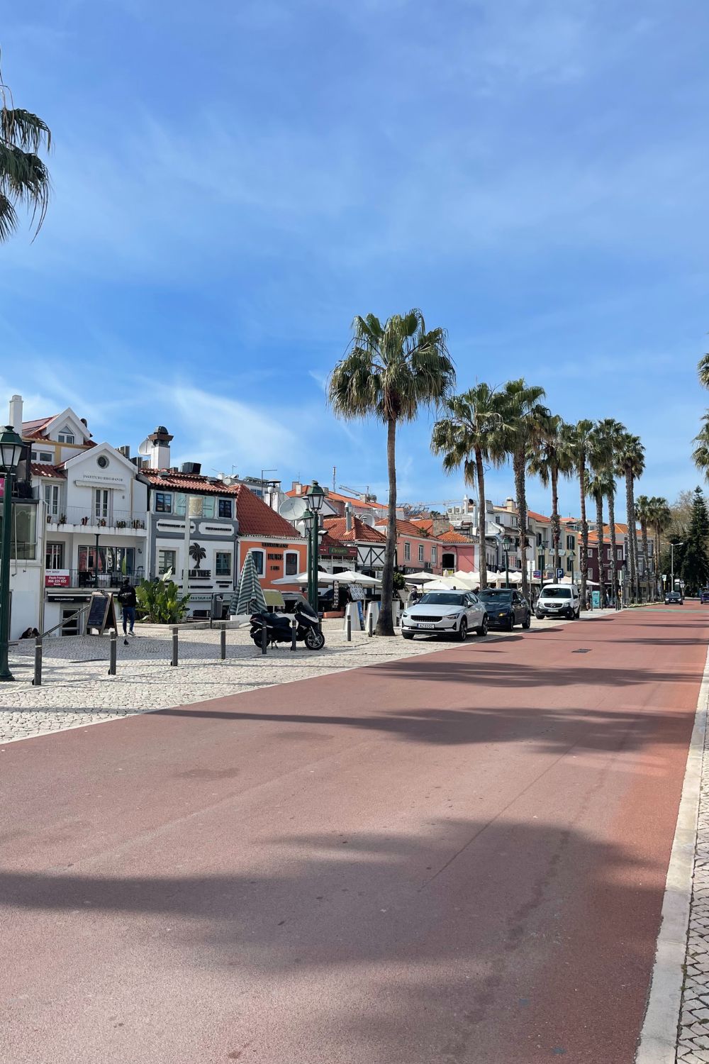 A sunny street in Cascais lined with palm trees, pastel-colored buildings, and parked cars, capturing a relaxed, coastal vibe.