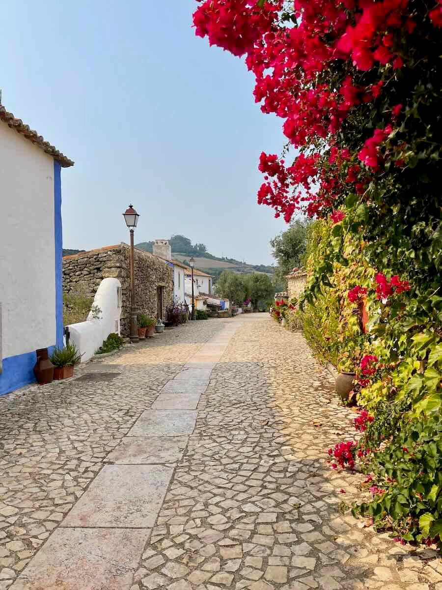 A charming cobblestone street lined with whitewashed houses with colorful accents. Vibrant red flowers cascade down from vines along the walls, adding a burst of color to the peaceful and quiet village scene.